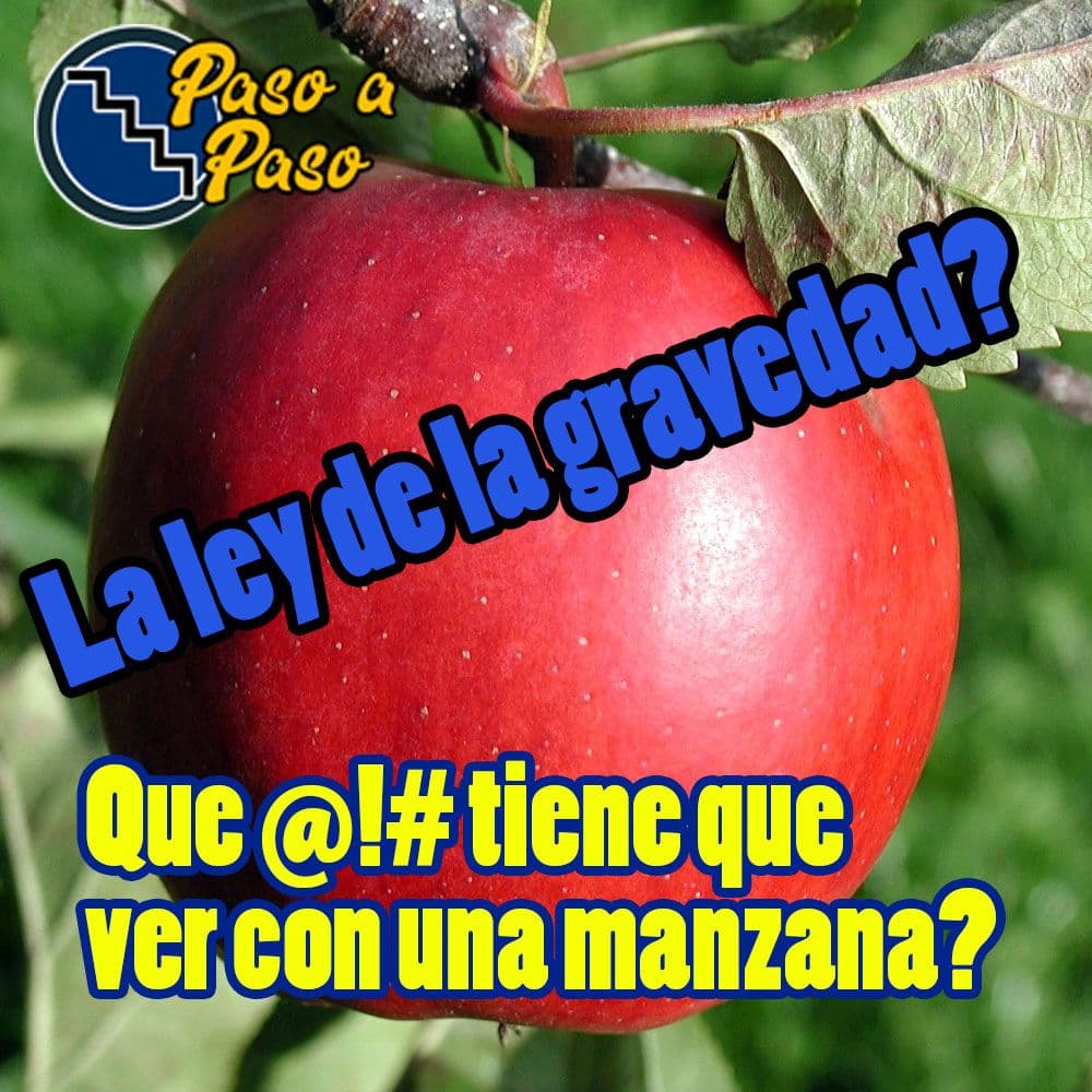 Que es la fuerza de gravedad?